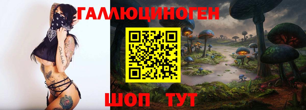 Псилоцибиновые грибы GOLDEN TEACHER  Вход с VPN  закладка  Мирный 