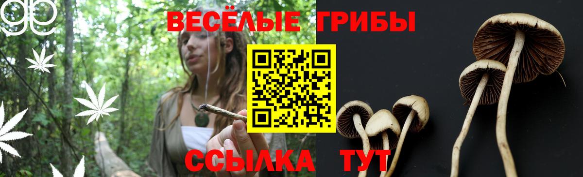 Галлюциногенные грибы Psilocybe Мирный